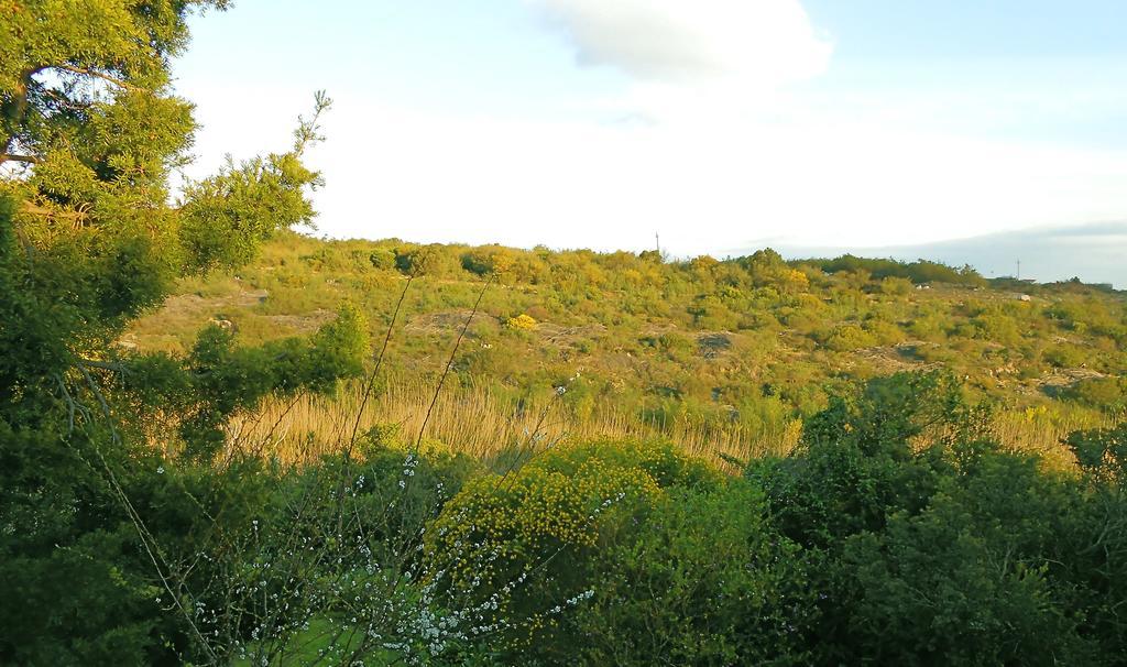 Onrus River Cottage Hermanus Bagian luar foto