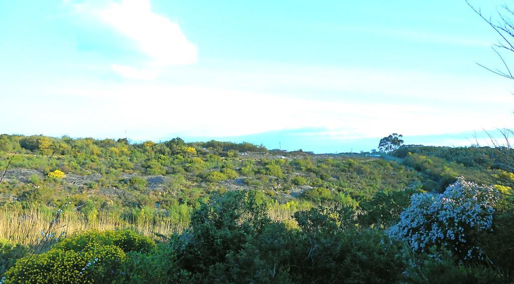 Onrus River Cottage Hermanus Bagian luar foto